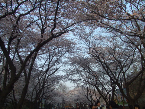 儿童大乐园-首尔必去景点