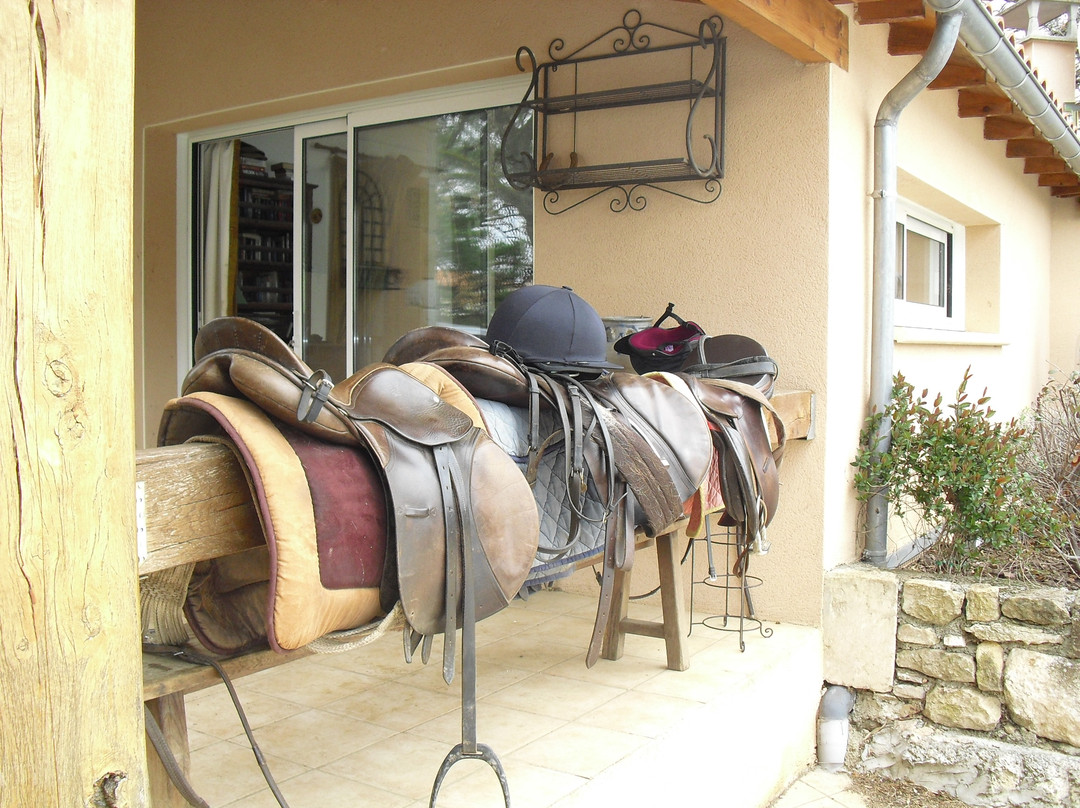 French Riding Holidays