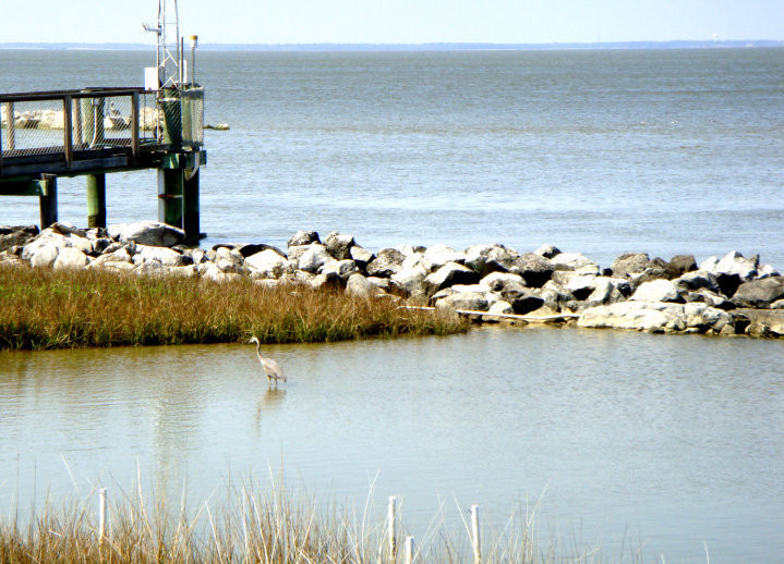 Alabama Aquarium at the Dauphin Island Sea Lab景点图片