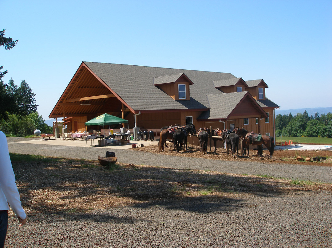 Winter's Hill Estate Winery And Vineyard景点图片