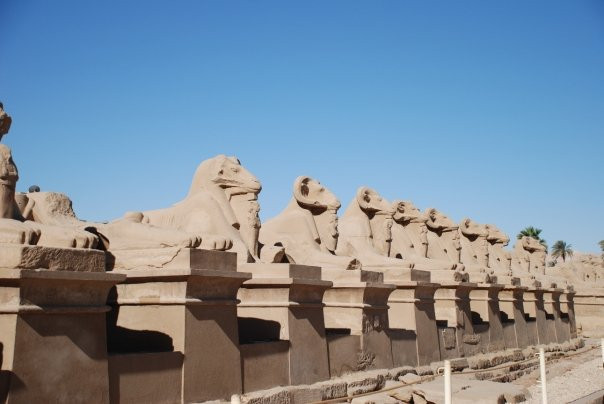 Avenue of Sphinxes-卢克索必去景点