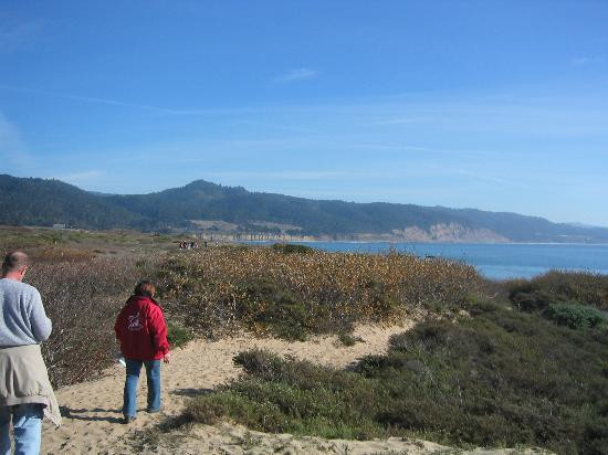 Año Nuevo State Reserve-佩斯卡德罗必去景点