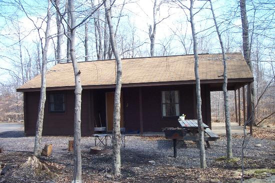 Ricketts Glen State Park景点图片