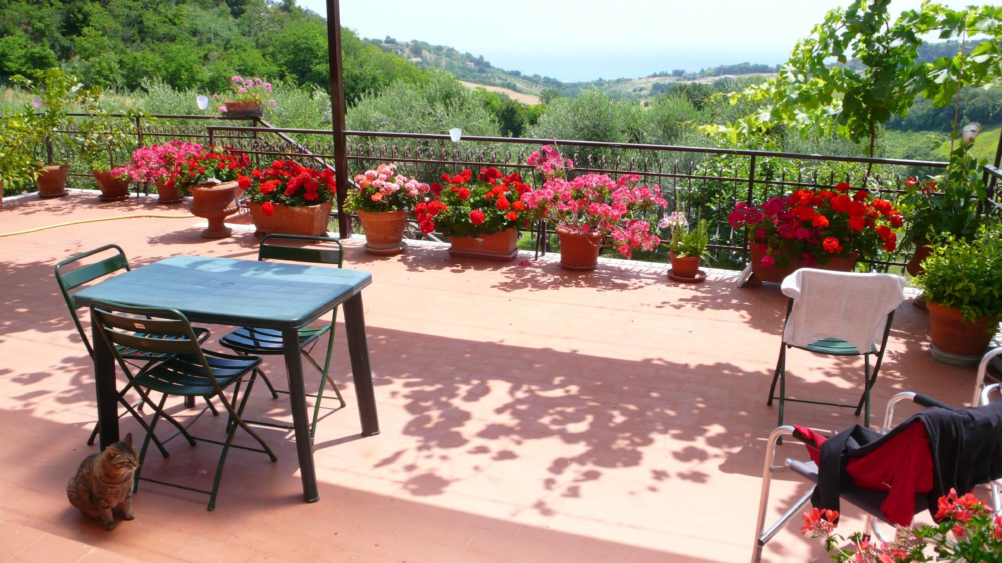 Bed & Breakfast  Dal Capo-酒店景观