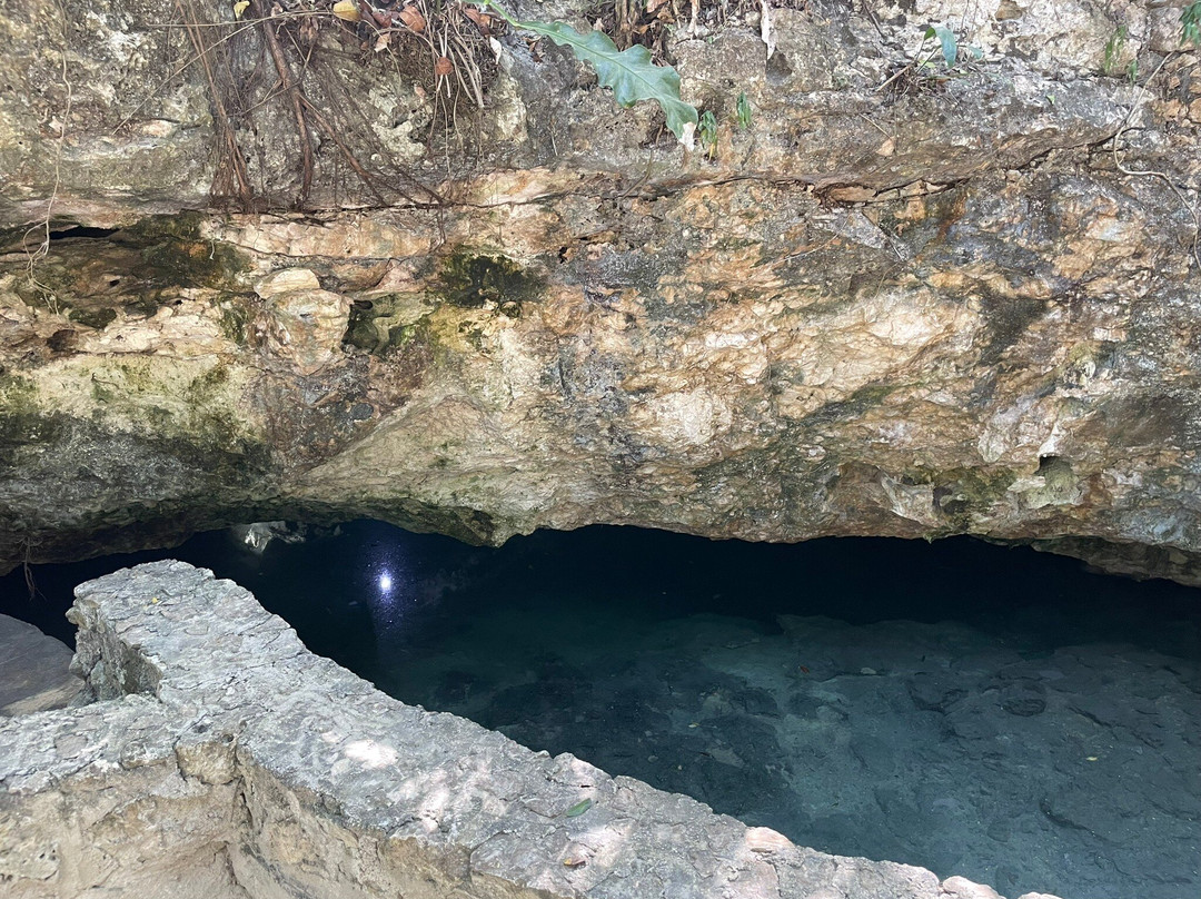 Cenote La Casa Del Alux景点图片