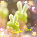 ShaquilaSky