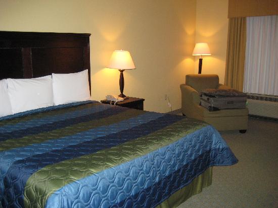 Ambassador Inn & Suites - Tuscaloosa-客卧