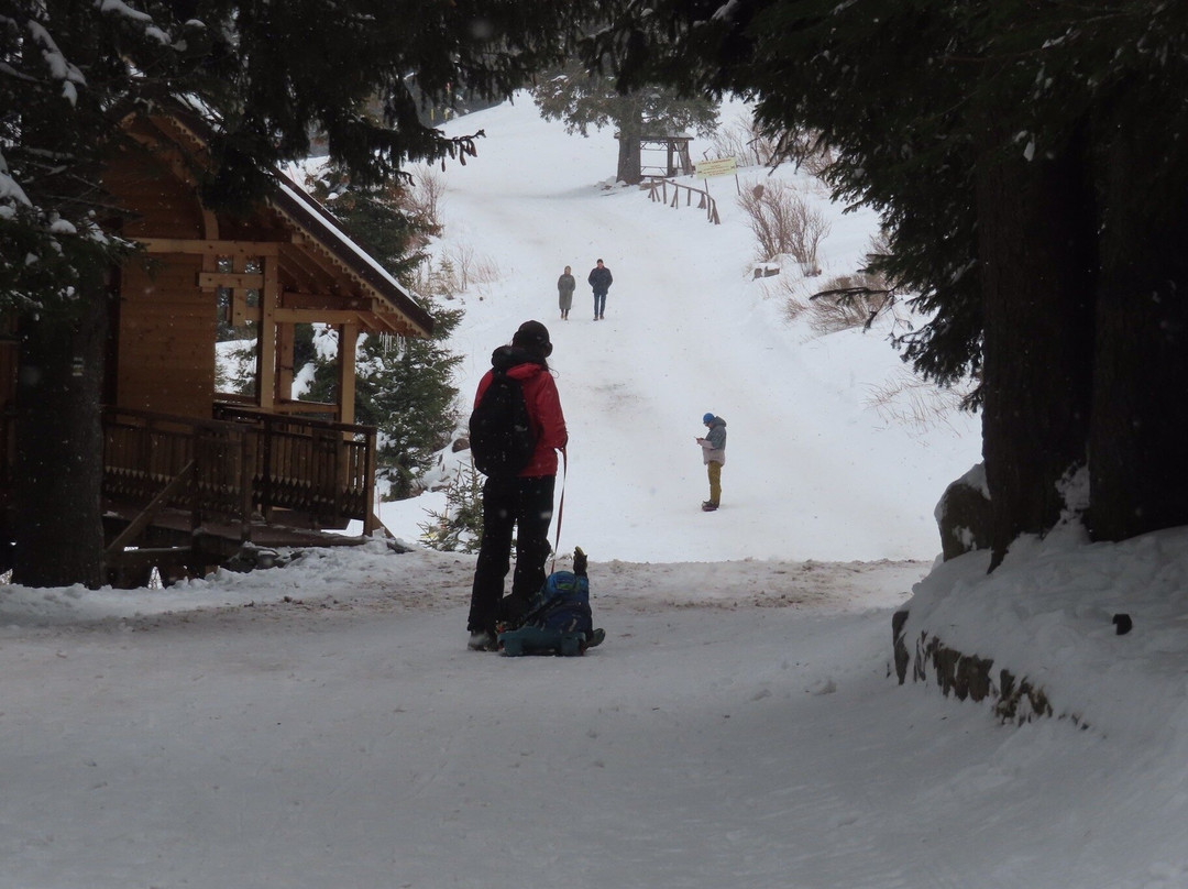 Lift Simeonovo-索非亚必去景点