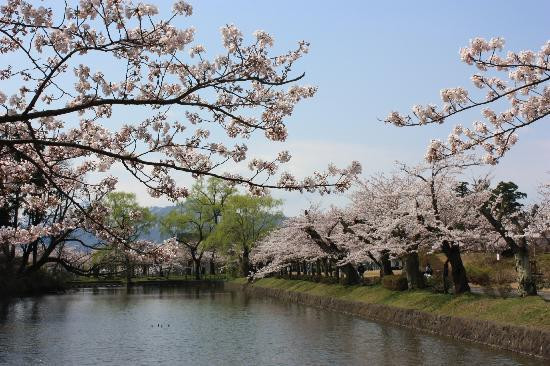 Tsuruoka Park景点图片