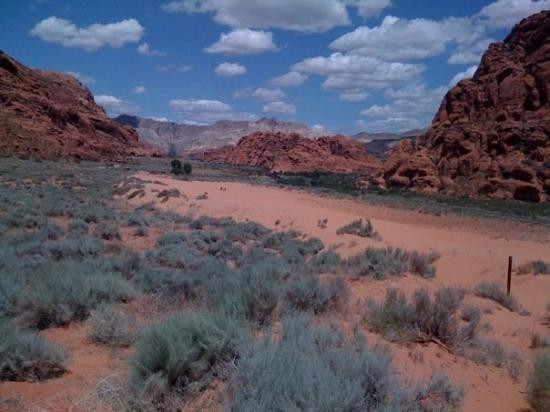Snow Canyon State Park-犹他州必去景点