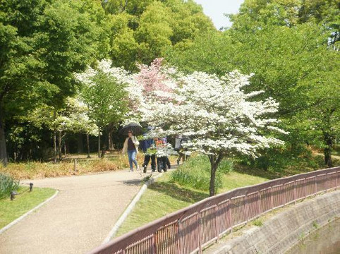 长居公园-大阪市必去景点