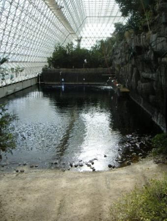 Biosphere 2-Oracle必去景点