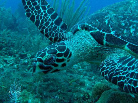 Your Private Tour-阿范特拉斯港必去景点