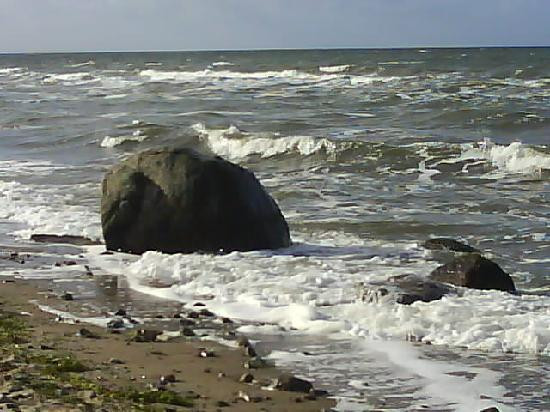 Hotel Am Alt Gaarzer Eck主图