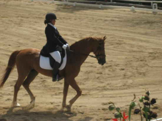 Caribbean International Riding Centre-Saint Andrew Parish必去景点