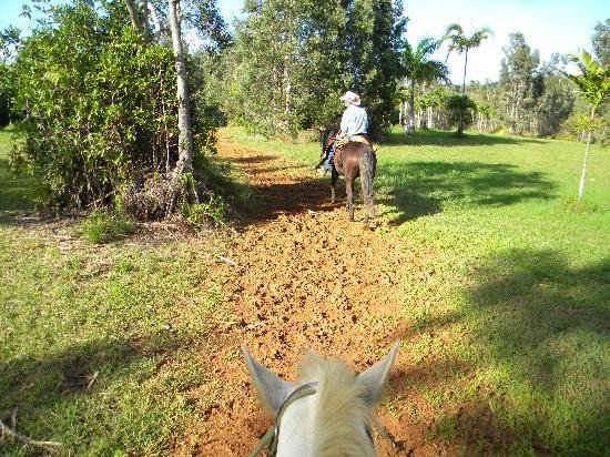 Silver Falls Ranch-基拉韦厄必去景点
