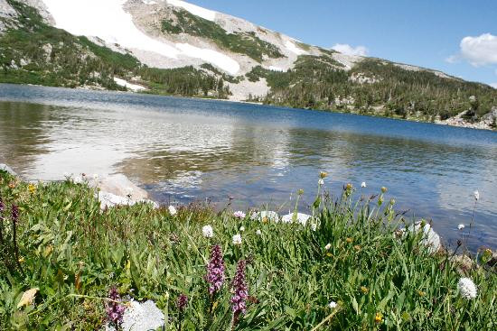 Medicine Bow National Forest-拉勒米必去景点