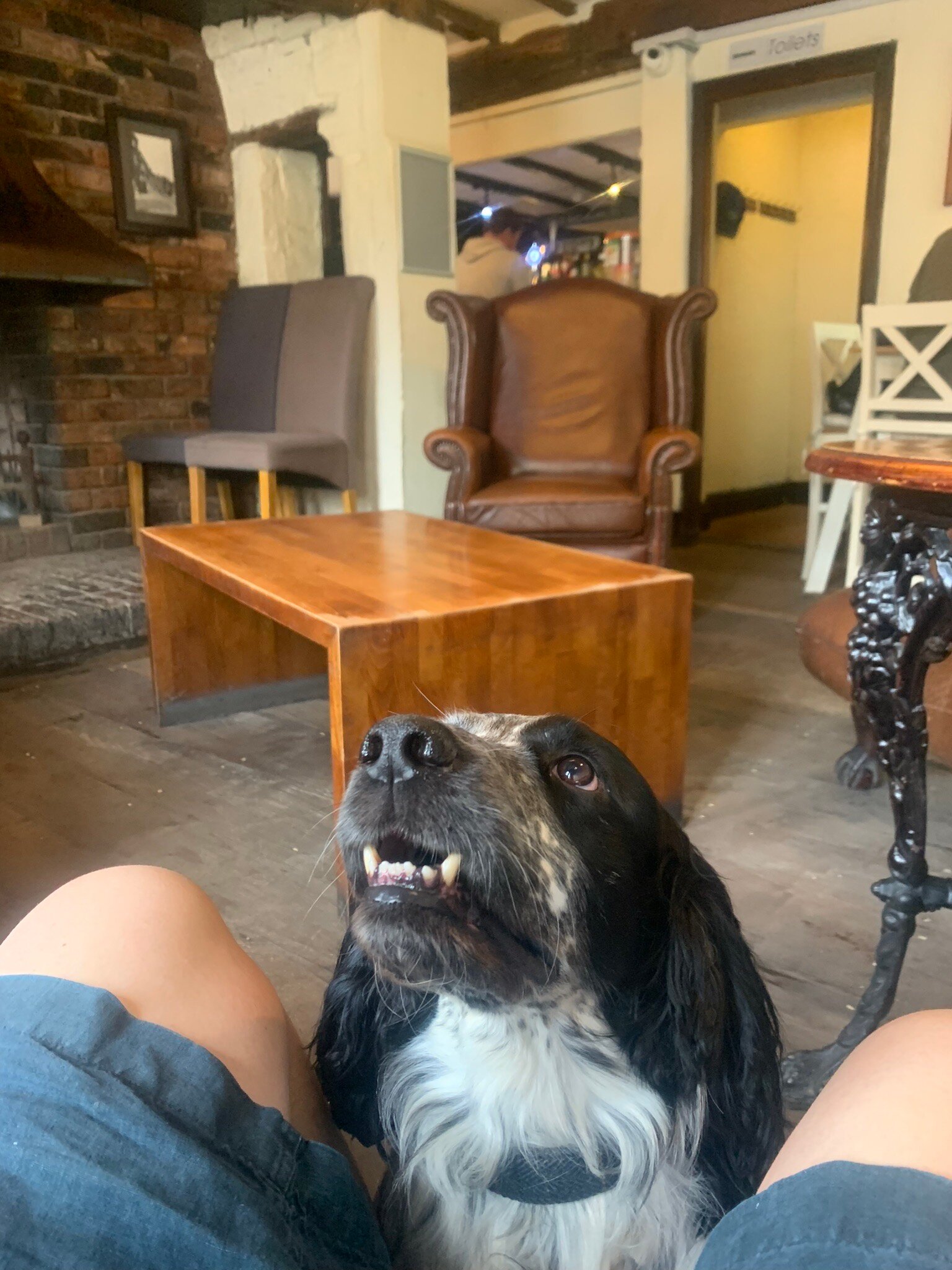 Kings Arms Cleobury Mortimer-官方