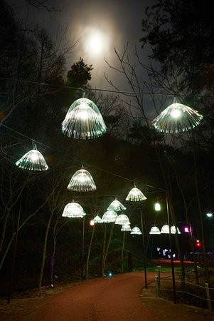 Sonata Of Light-原州市必去景点