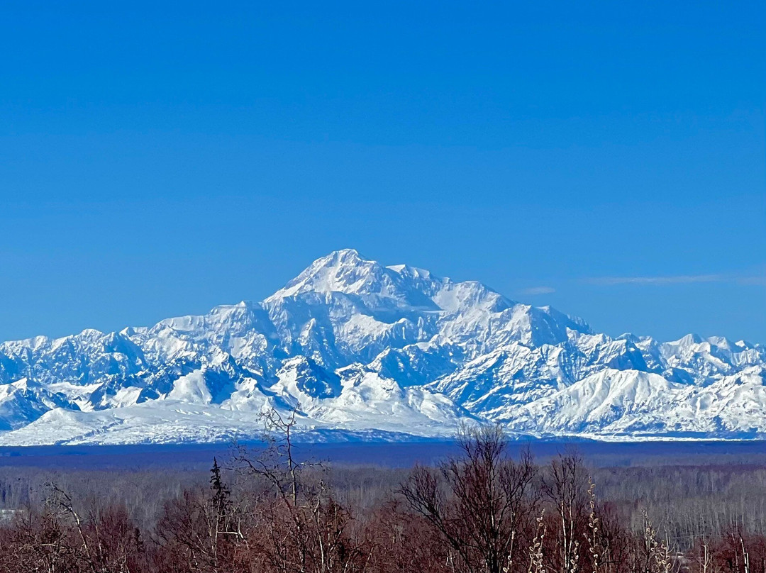 塔尔基特纳阿拉斯加旅舍酒店主图