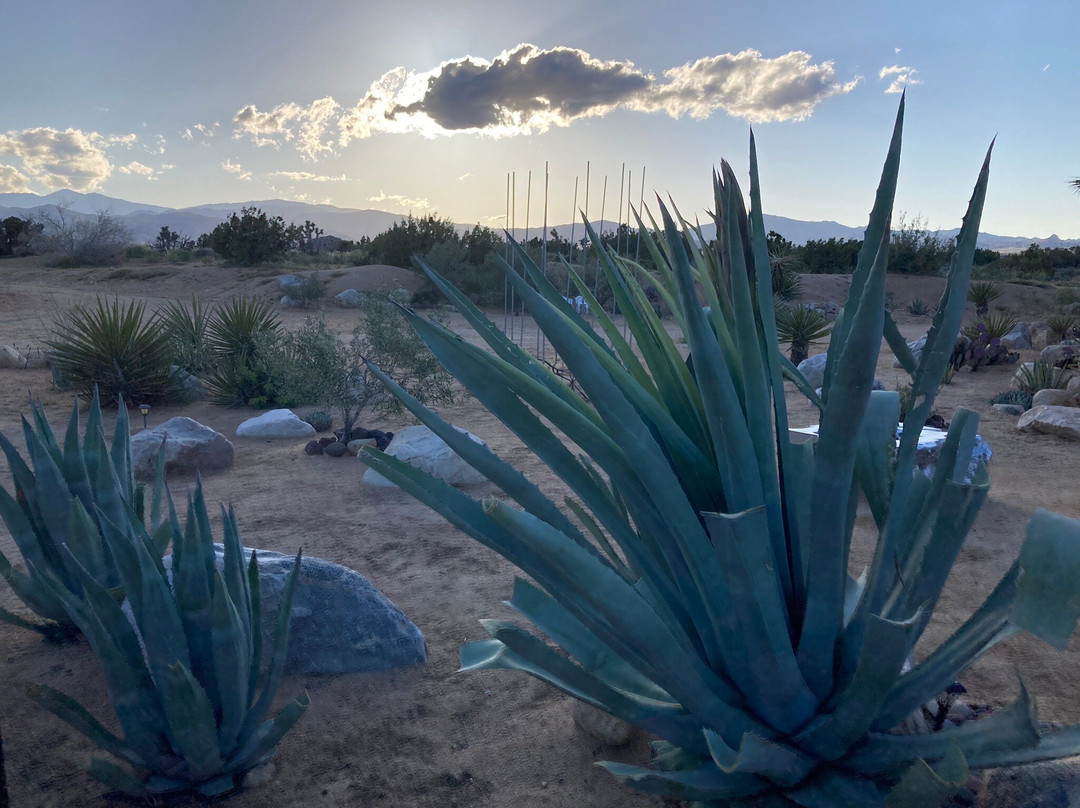 Starlight Boutique Hotel主图