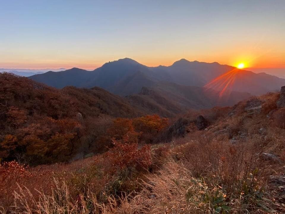 Roger Shepherd-求礼郡必去景点