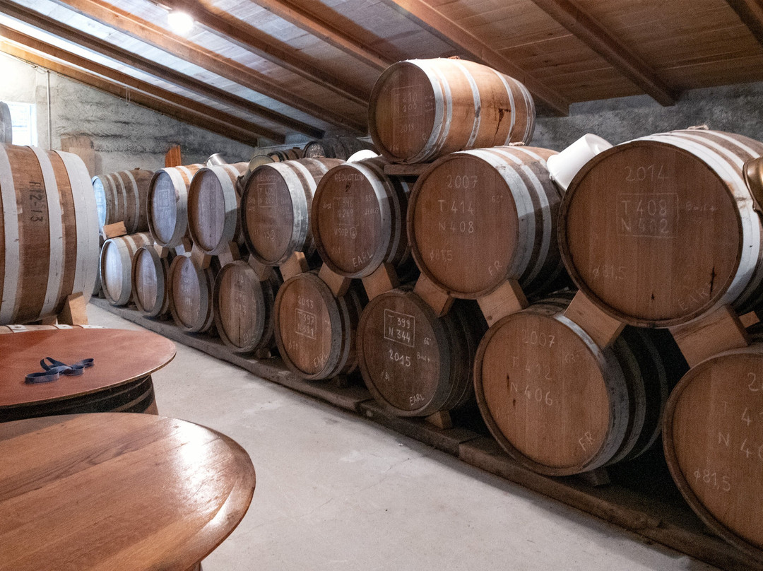 Domaine des Claires景点图片