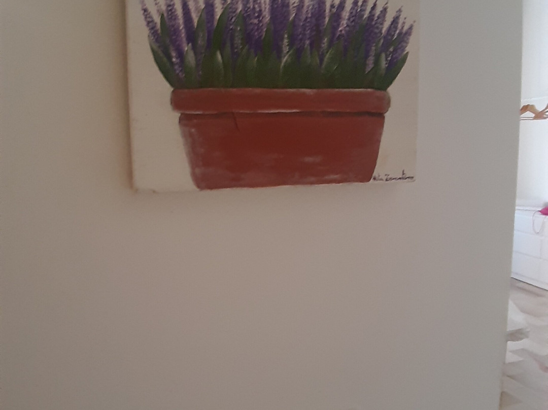 Villa di Nera B&B主图