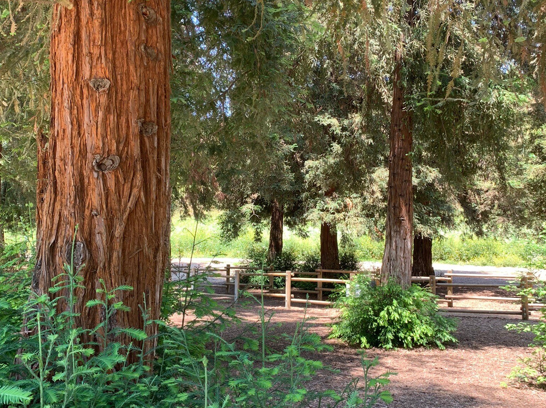 Carbon Canyon Regional Park-Brea必去景点