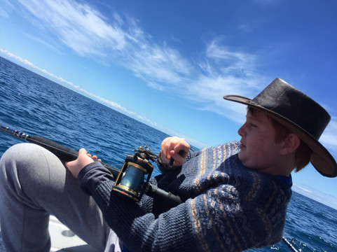 Rampant Charters-纳皮尔必去景点