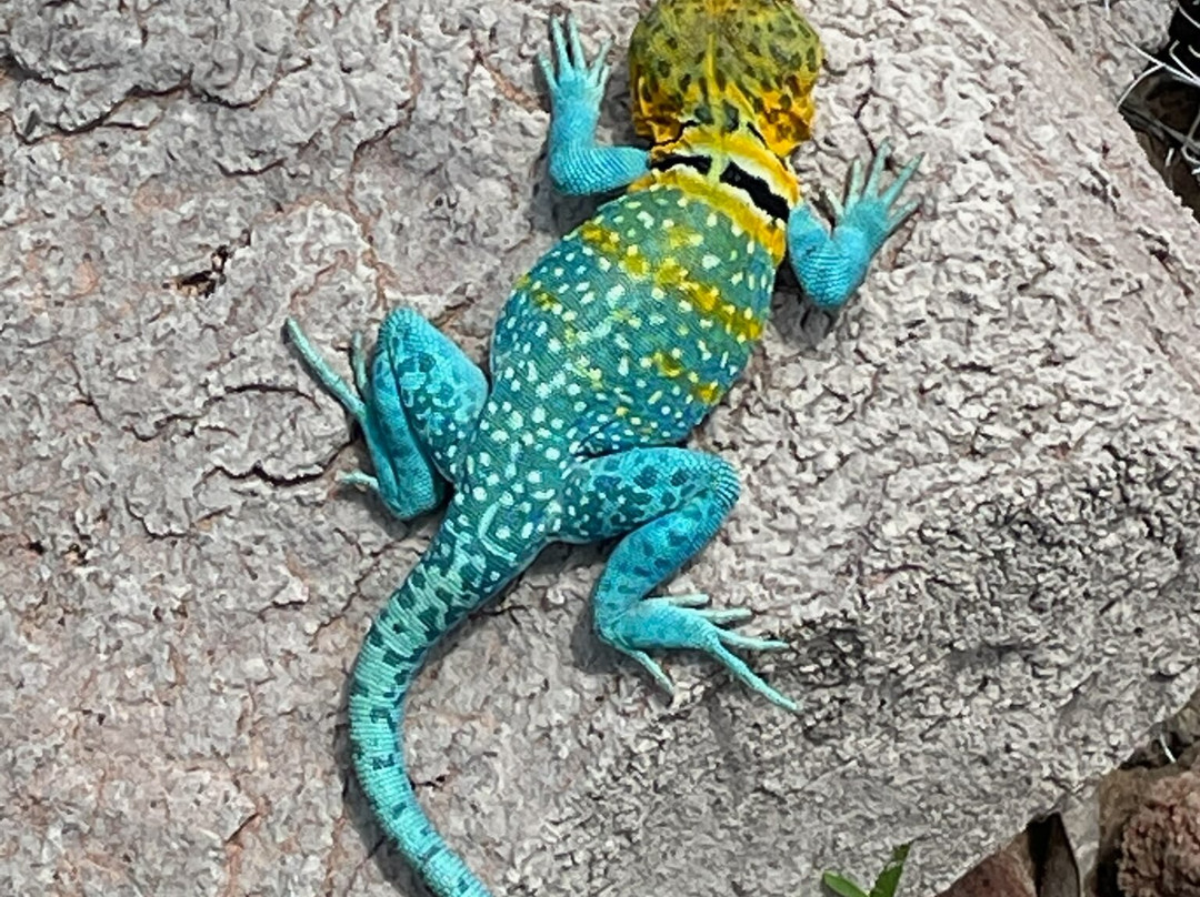 Quartz Mountain State Park-Lone Wolf必去景点
