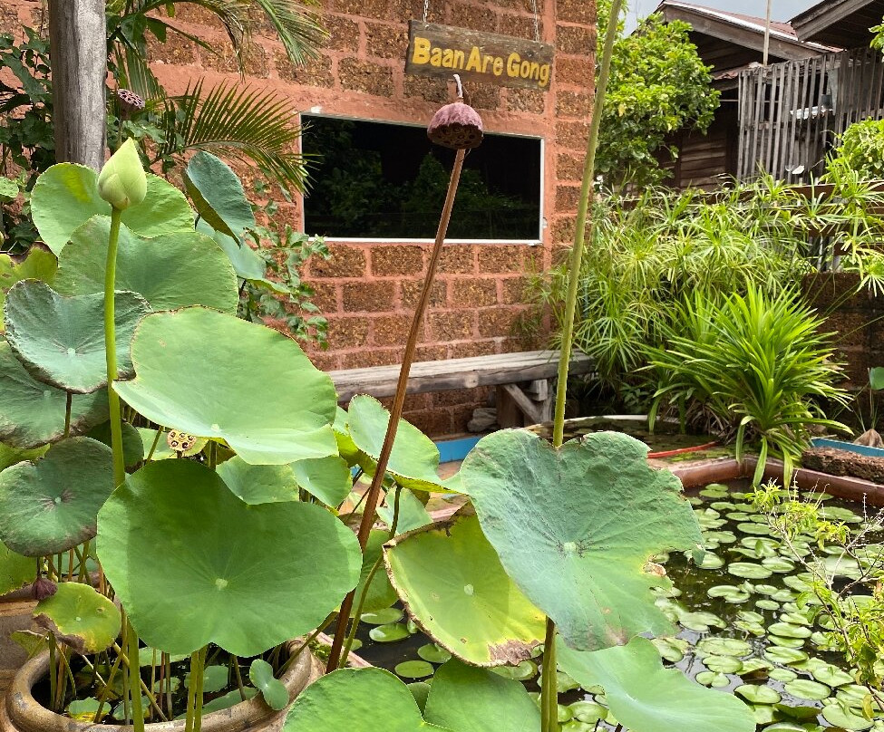 Baan Are Gong Riverside Homestay主图