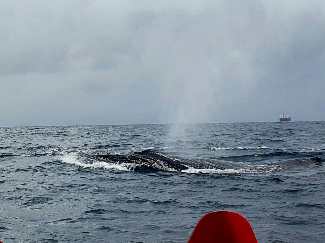 Lake Mac Watersports-麦觉理湖必去景点