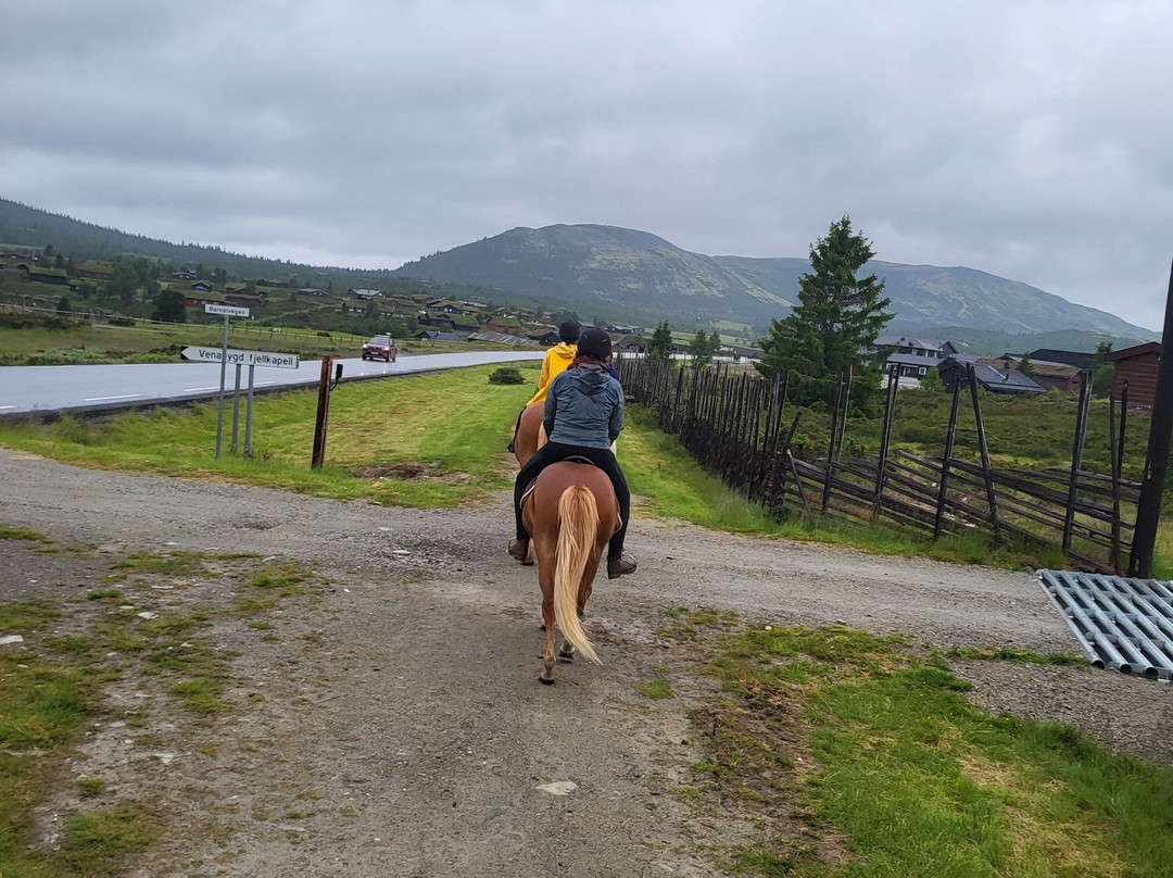 Venabustallen Horse Riding-Venabygd必去景点