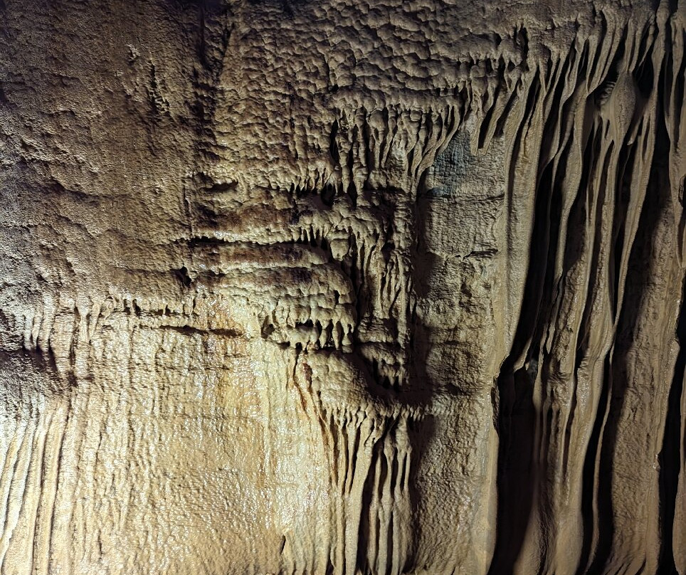 Grottes de Baume-les-Messieurs景点图片