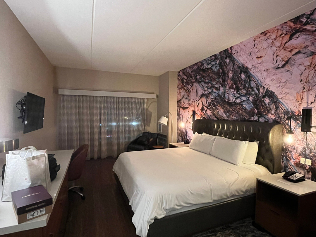 Hotel Indigo Naperville Riverwalk by IHG主图