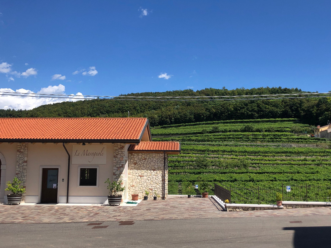 Le Marognole Azienda Agricola景点图片
