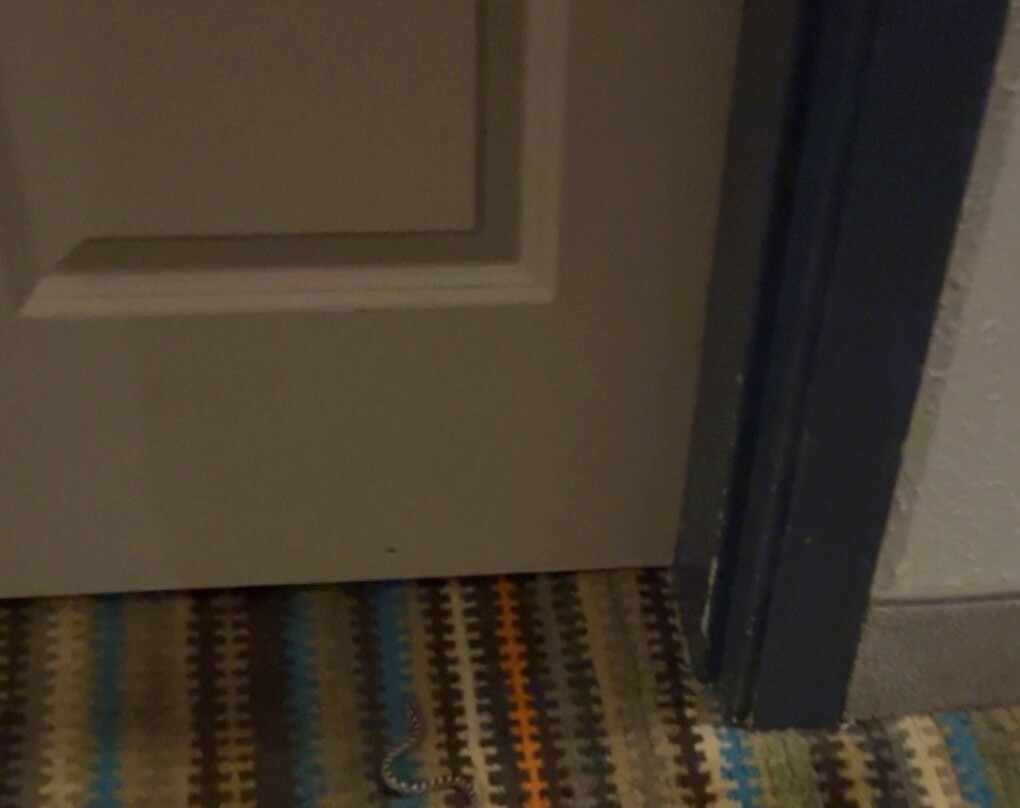 Country Inn & Suites by Radisson, Germantown, WI主图