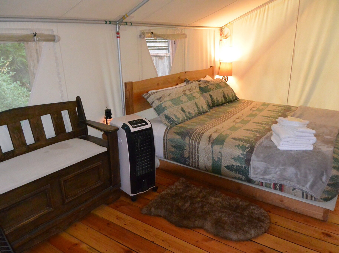 Umpqua's Last Resort主图