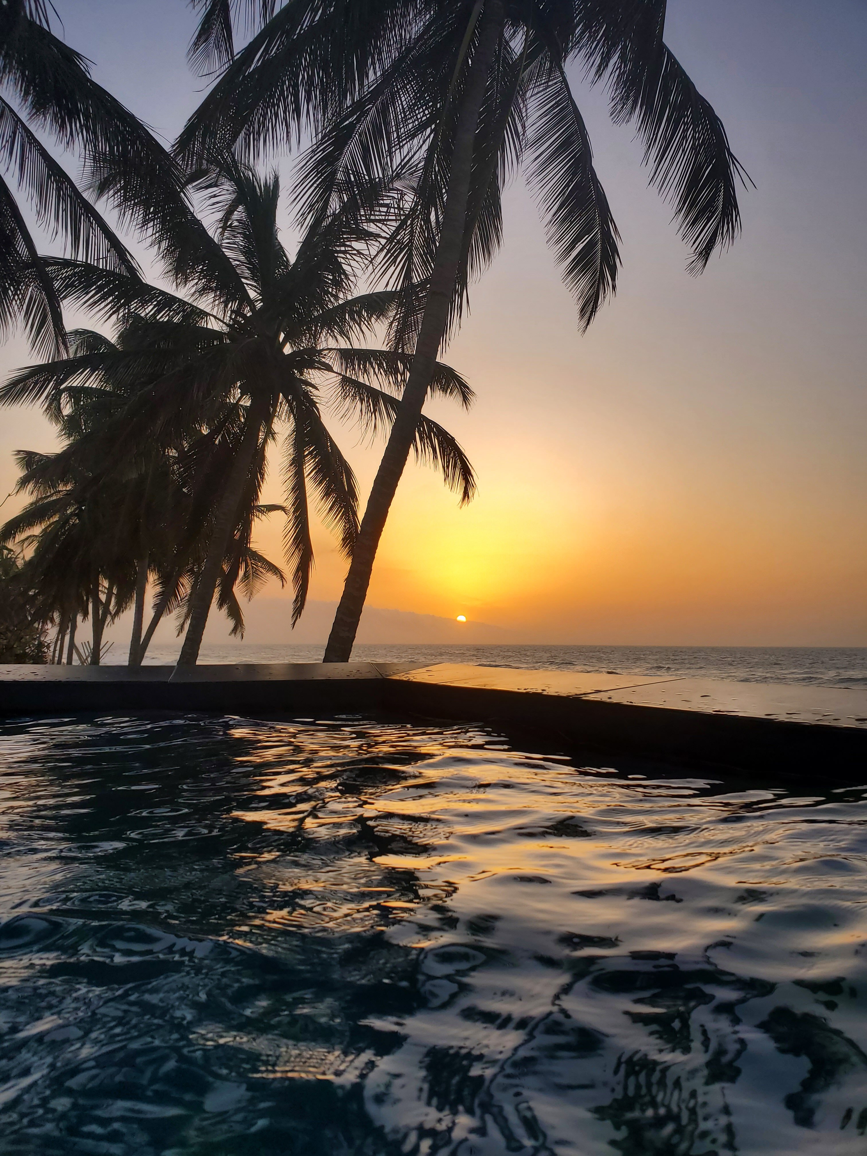 RCH Luxury Hotel & Pool-泳池