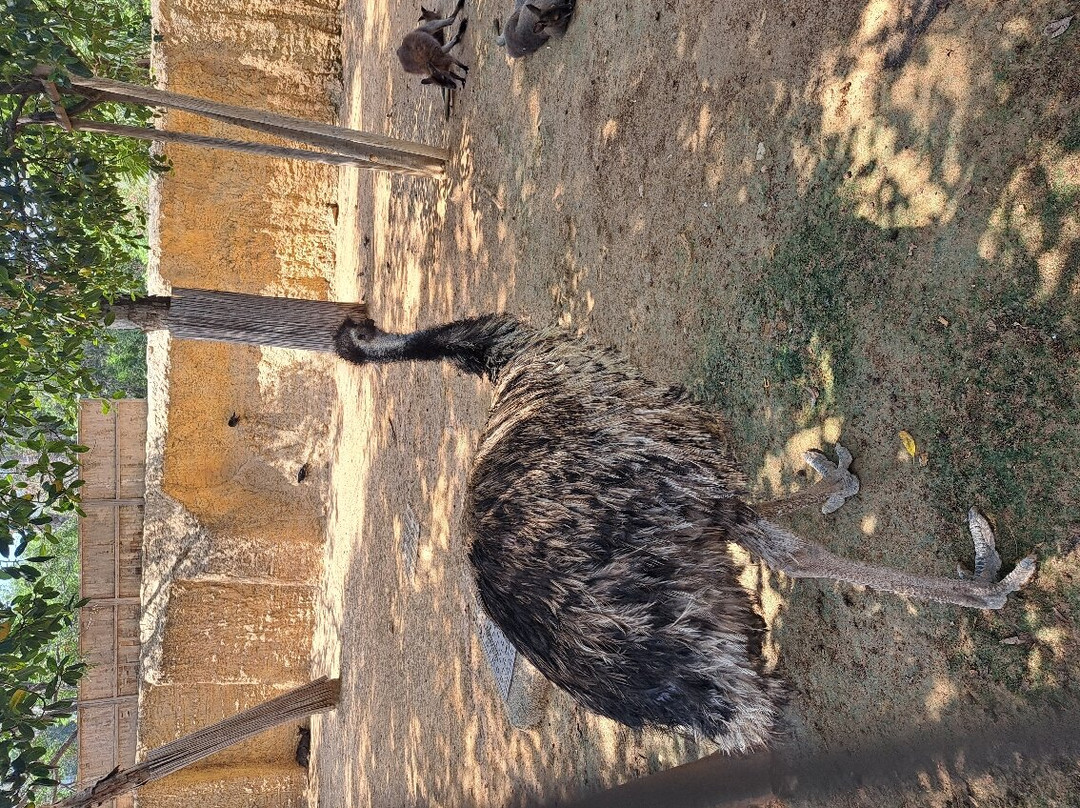Limassol Zoo-利马索尔必去景点