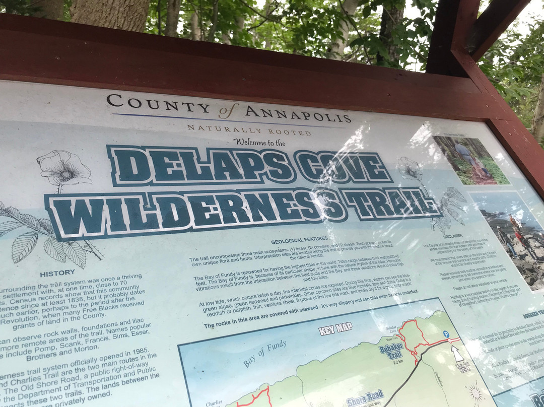Delaps Cove Wilderness Trails景点图片