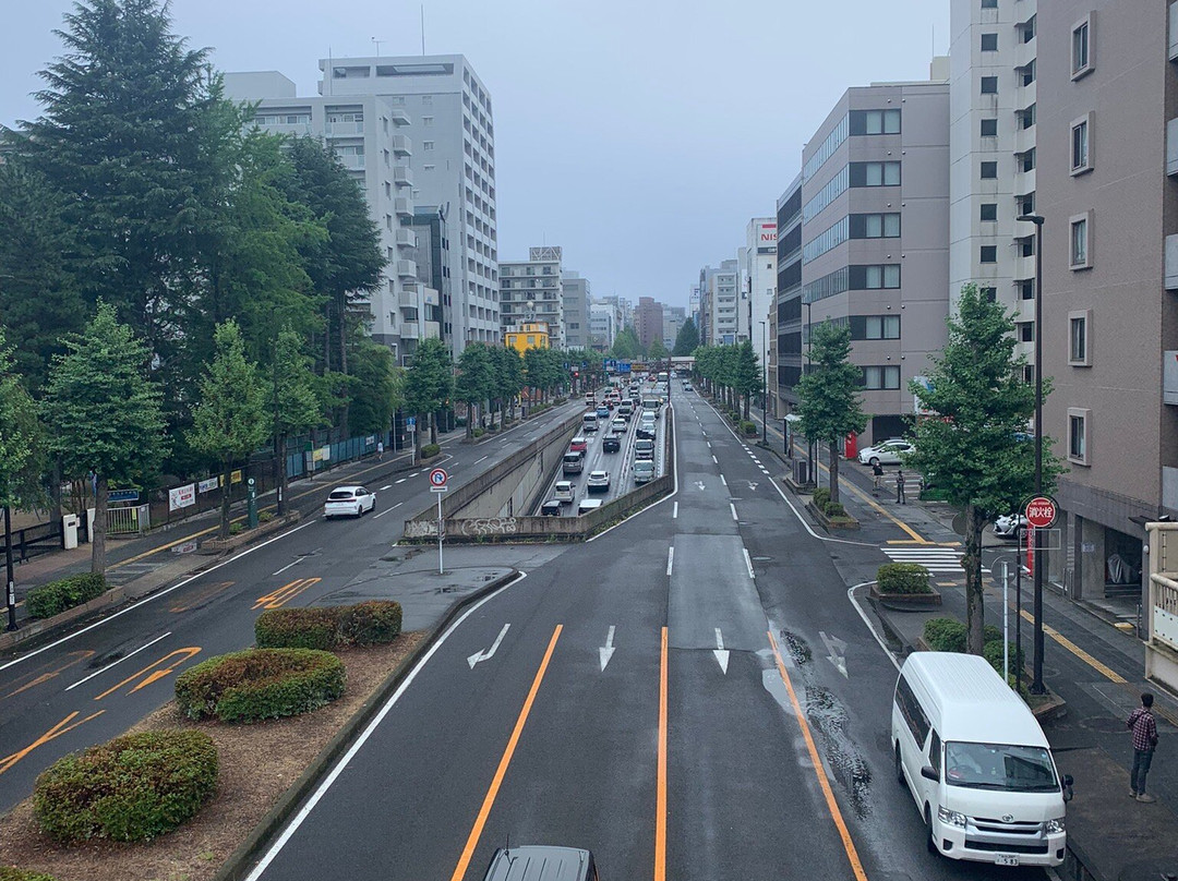 Aoba-dori Avenue-仙台市必去景点