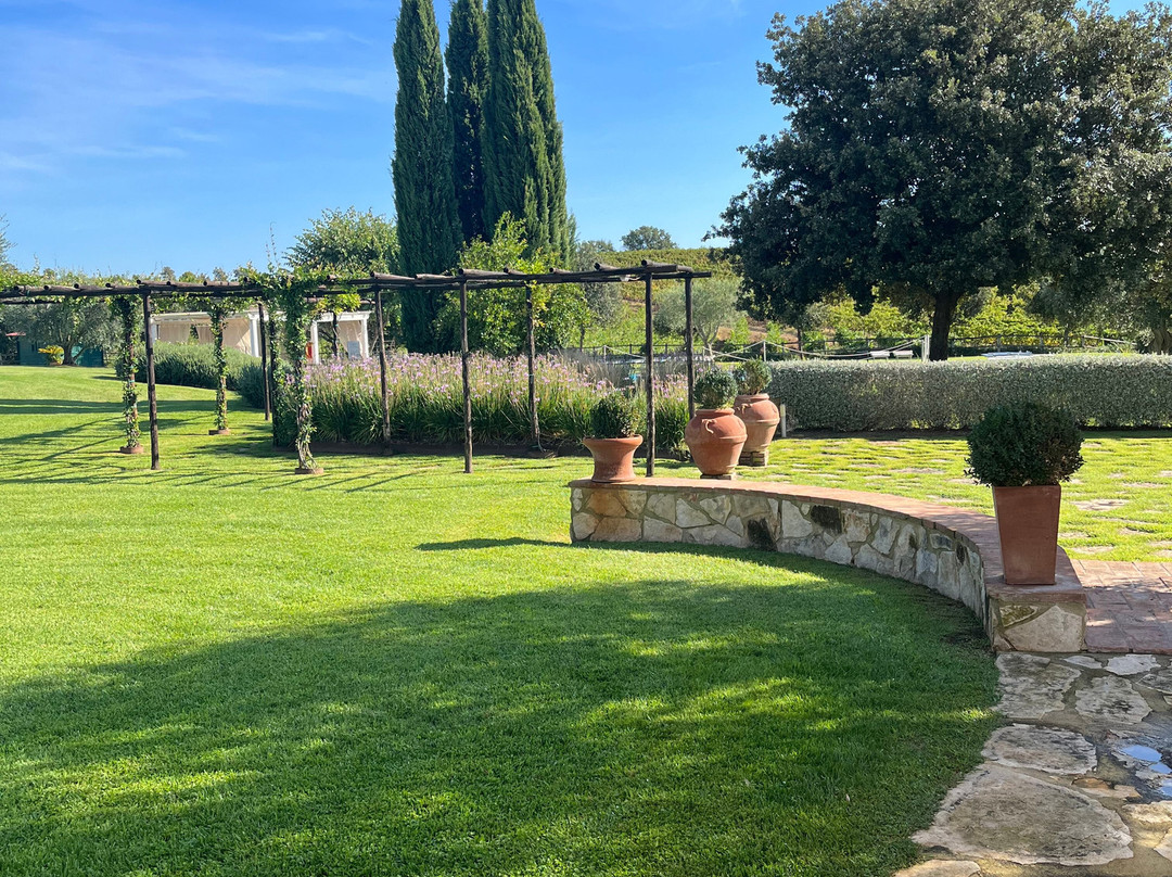 Agriturismo Il Casale degli Olivi主图