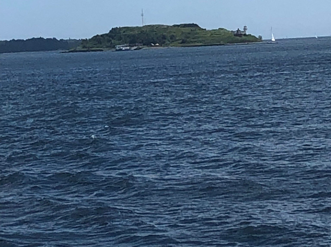 Halifax Harbour Ferry景点图片