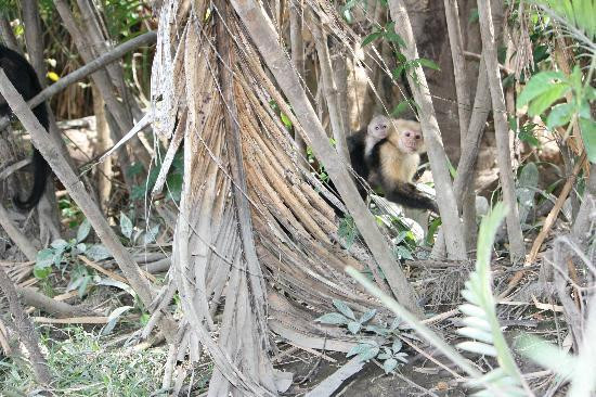 Xplore Costa Rica-塔马林多必去景点
