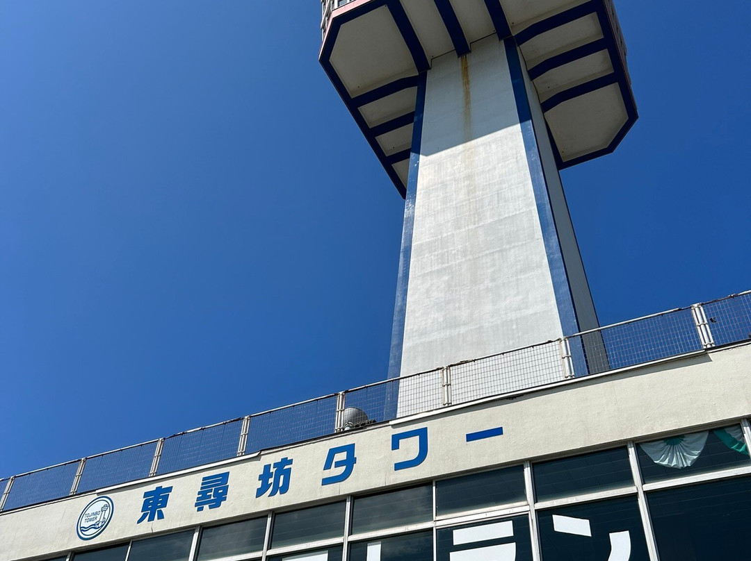 Tojinbo Tower景点图片