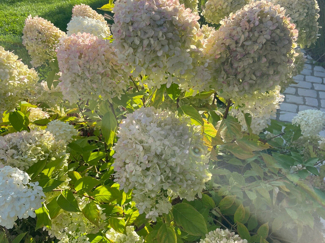 Au Pre du Moulin主图