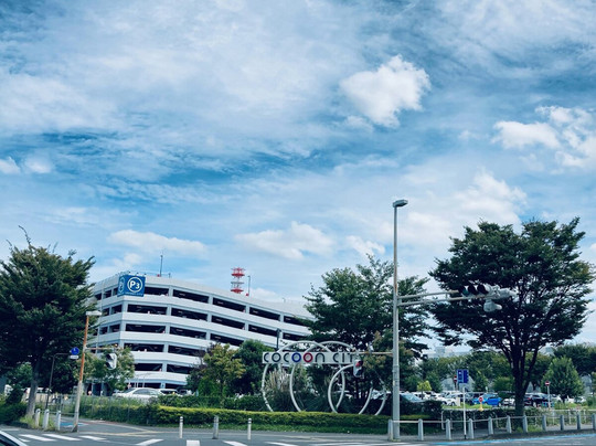 东横INN埼玉新东信主图