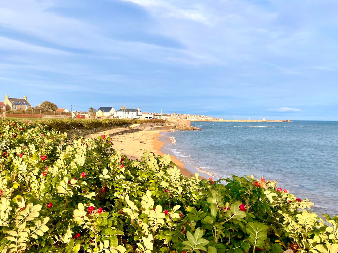 Billow Ness Beach-Anstruther必去景点